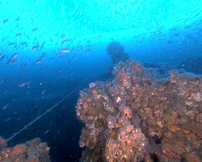 Divesite Image