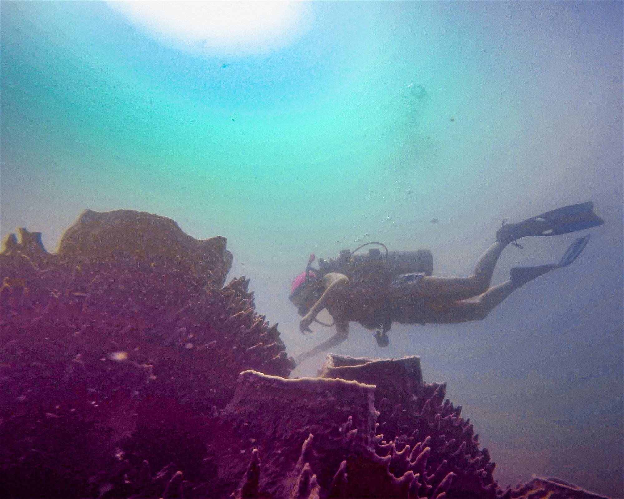 Centro de Buceo Rincon del Mar, 707010 Rincon (San Onofre), Sucre
