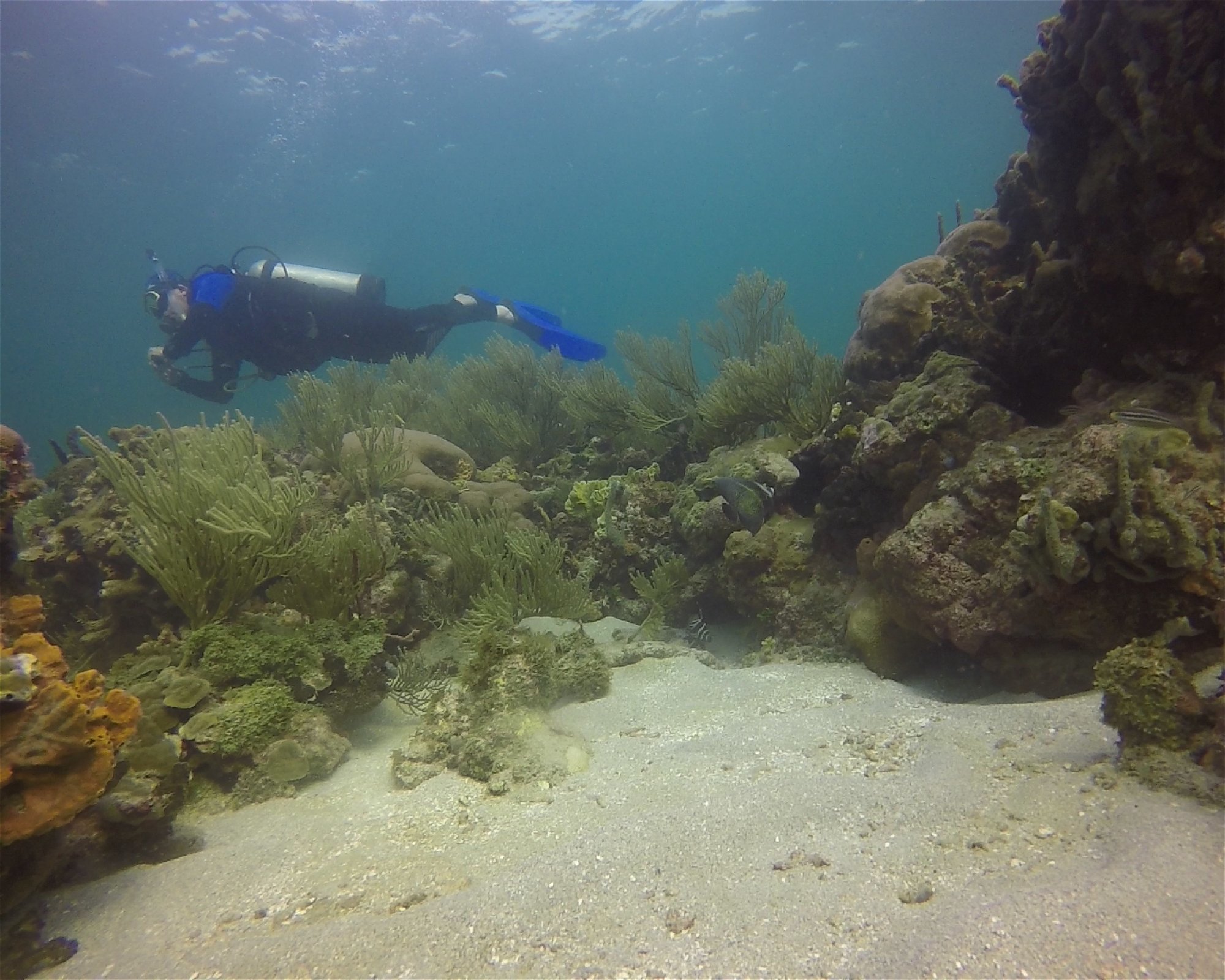 Centro de Buceo Rincon del Mar, 707010 Rincon (San Onofre), Sucre