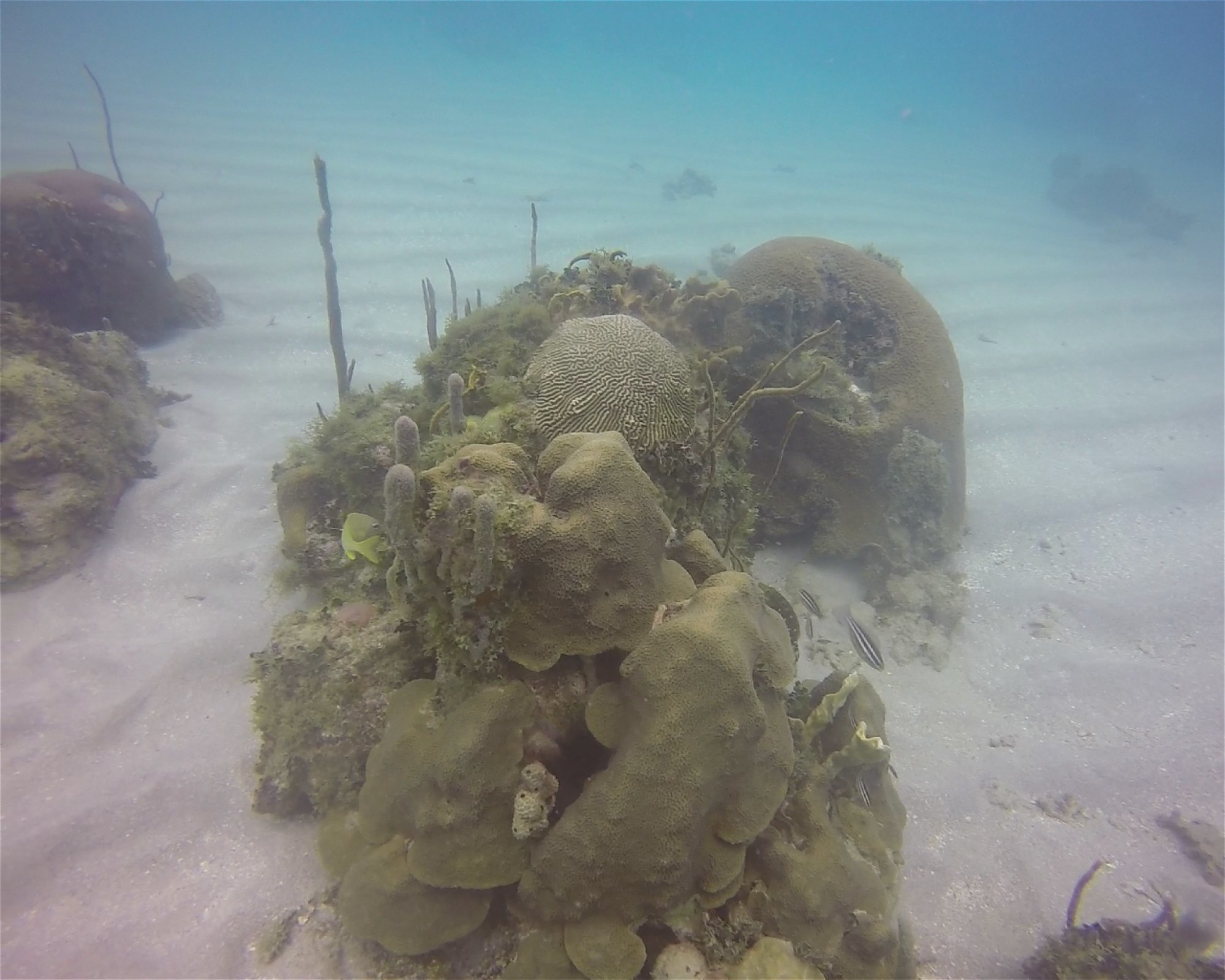 Centro de Buceo Rincon del Mar, 707010 Rincon (San Onofre), Sucre