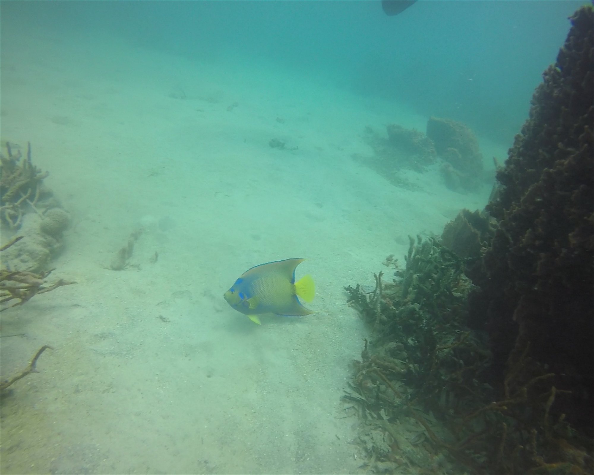 Centro de Buceo Rincon del Mar, 707010 Rincon (San Onofre), Sucre