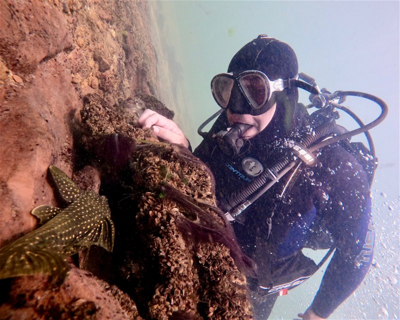 Divesite Image
