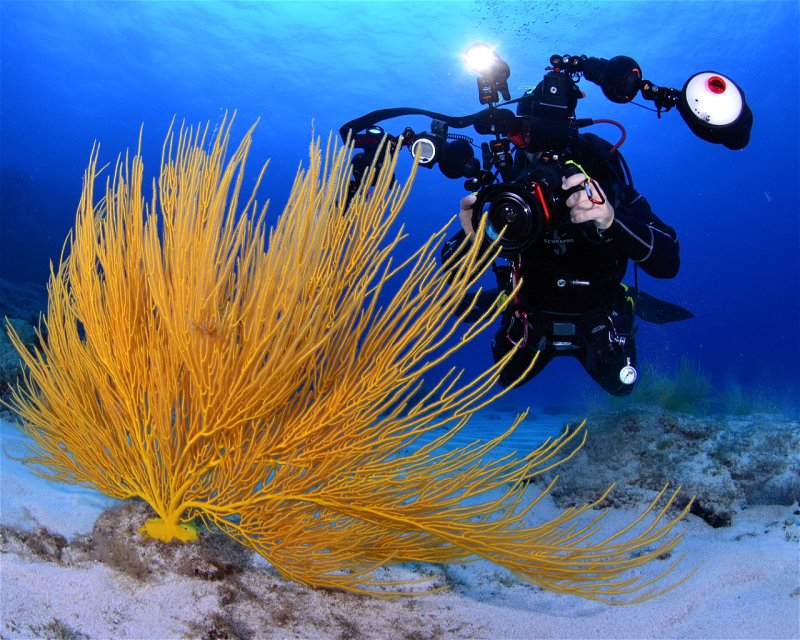 Divesite Image