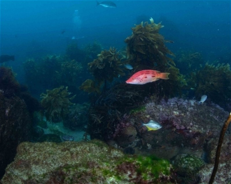 Divesite Image
