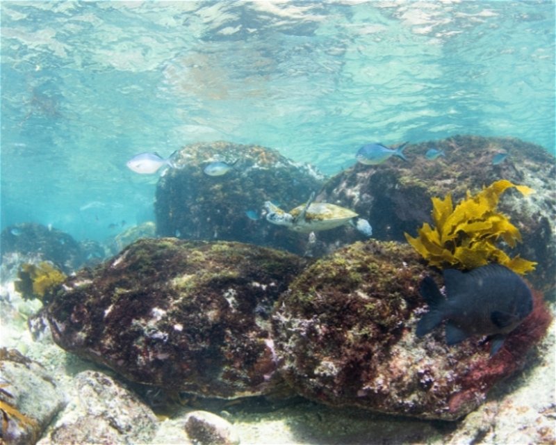 Divesite Image