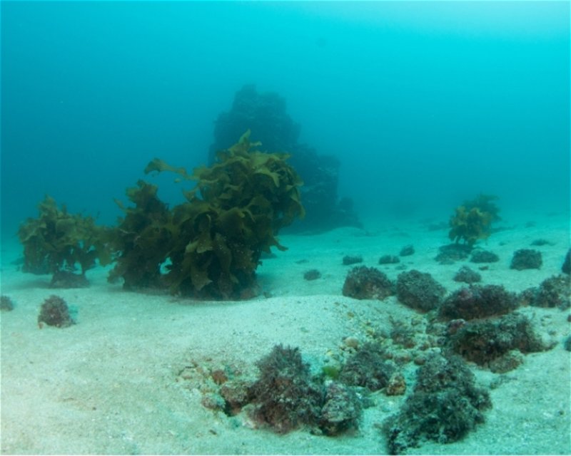 Divesite Image
