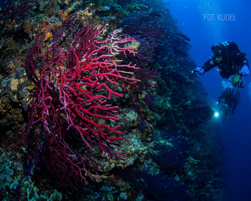 Divesite Image