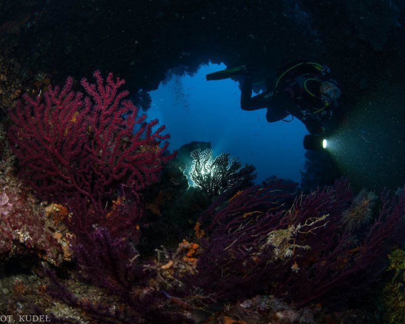 Divesite Image