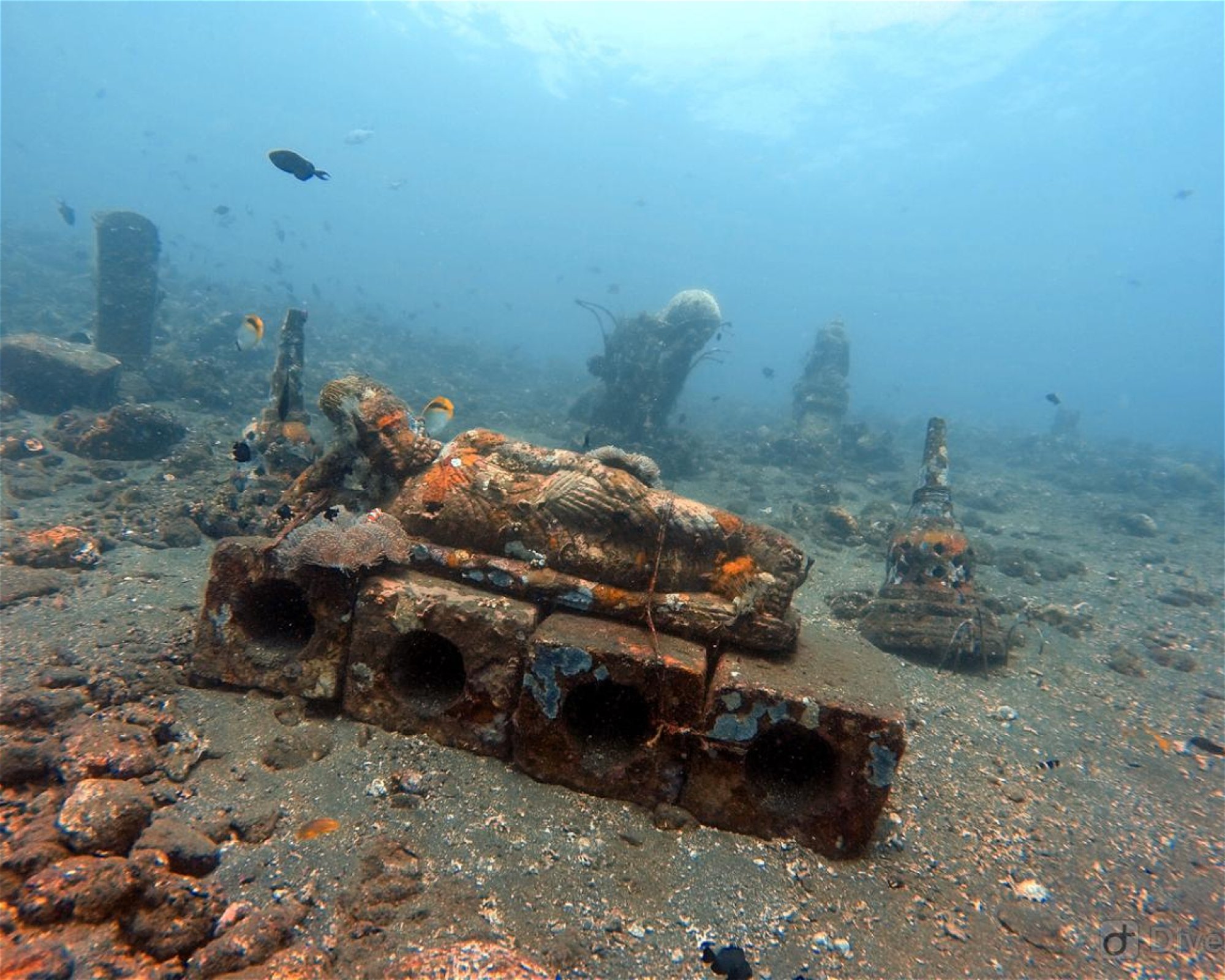 Amed Jepun Divers, 80852 Amed, Karangasem