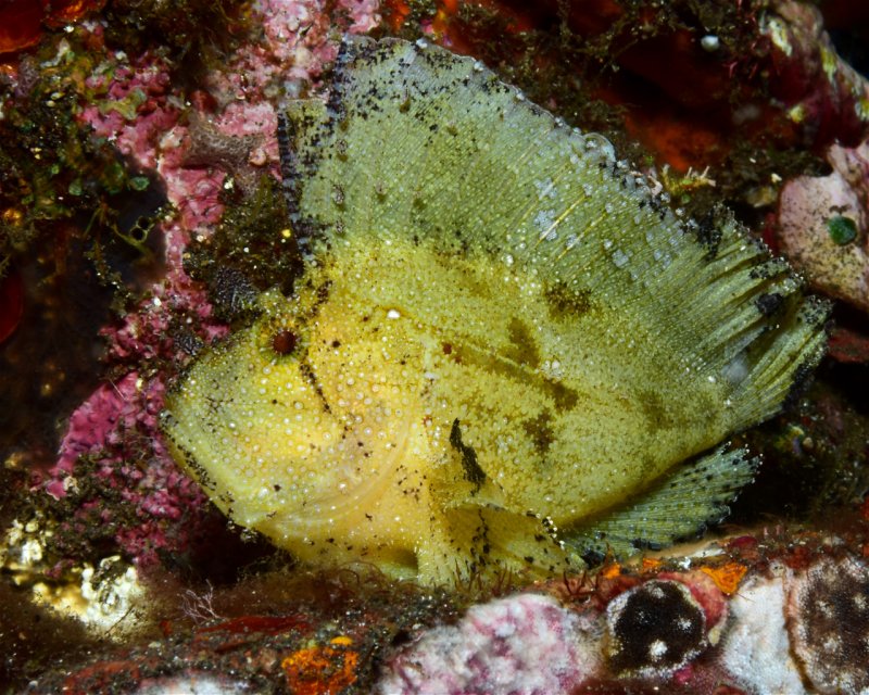 Divesite Image