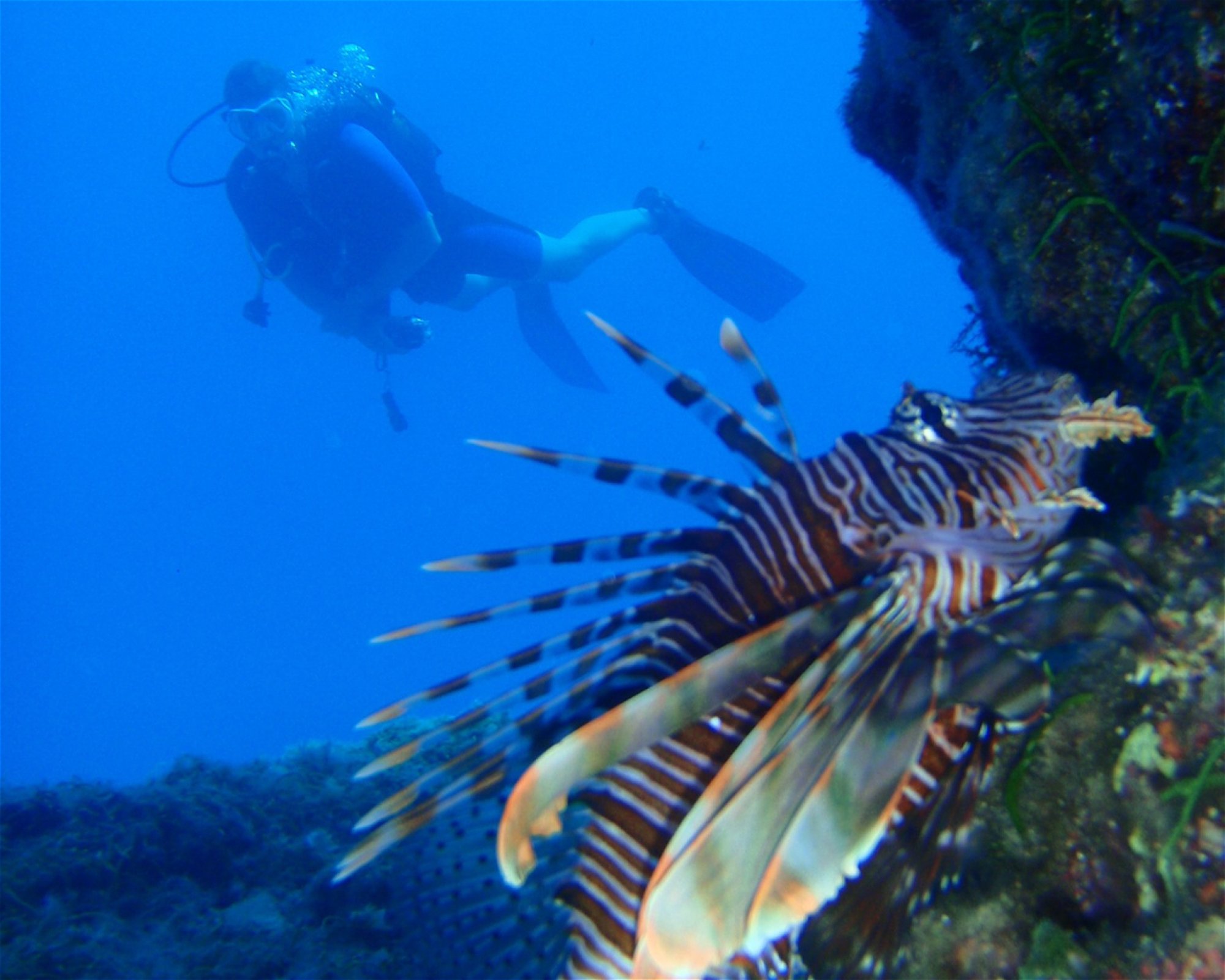 H2O Diving Center, 85100 Rhodes