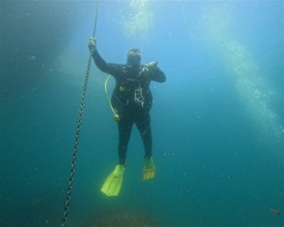 Matapaua Bay  (★3.7)