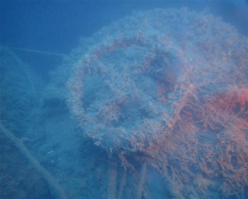 Divesite Image