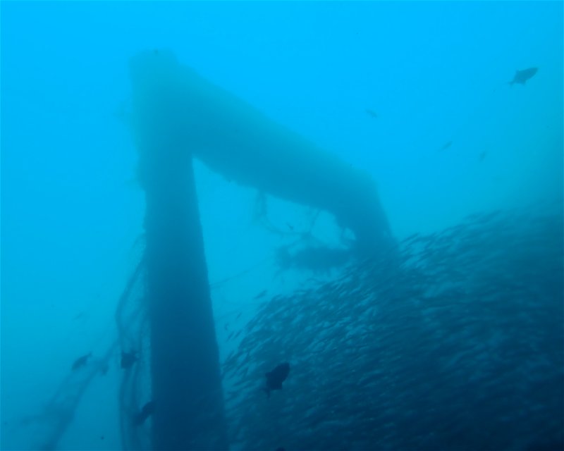 Divesite Image
