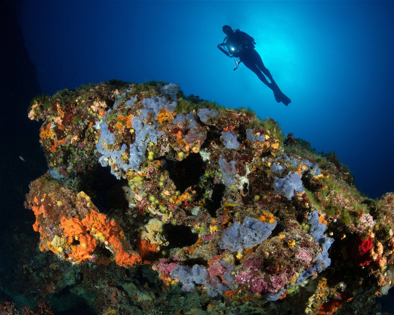 Divesite Image