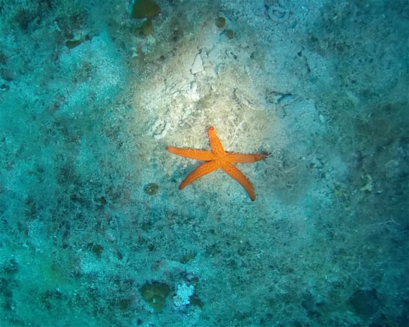 Divesite Image