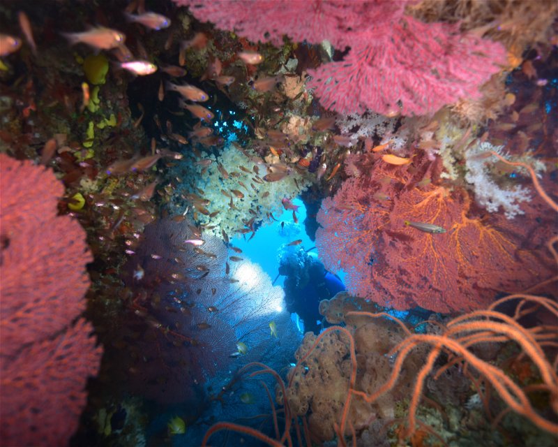 Divesite Image