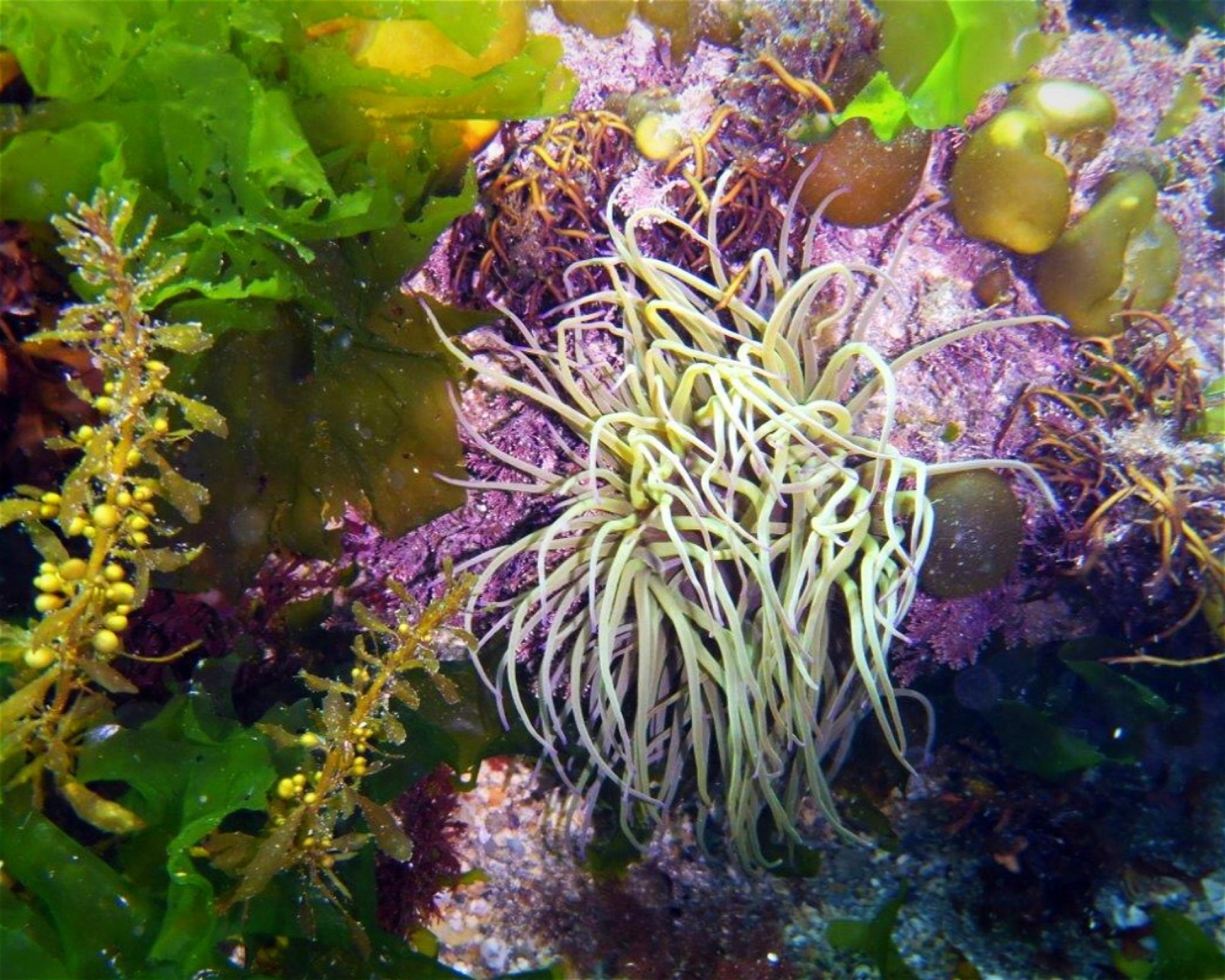 Scuba 2000, PL30 5EL Bodmin