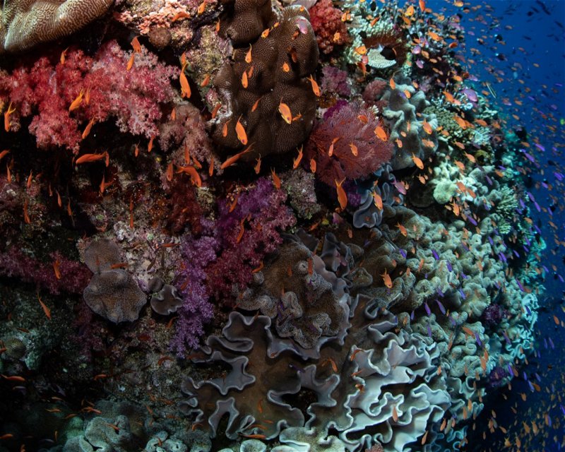 Divesite Image