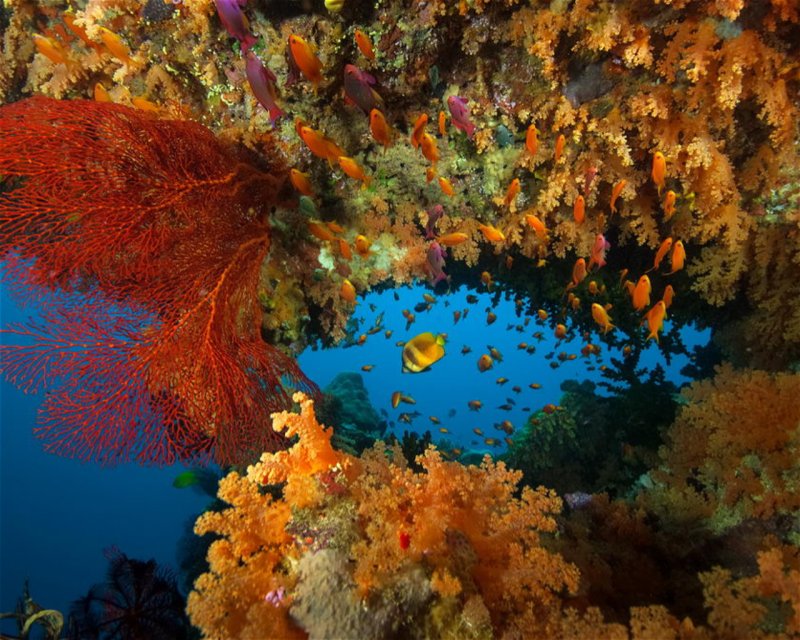Divesite Image