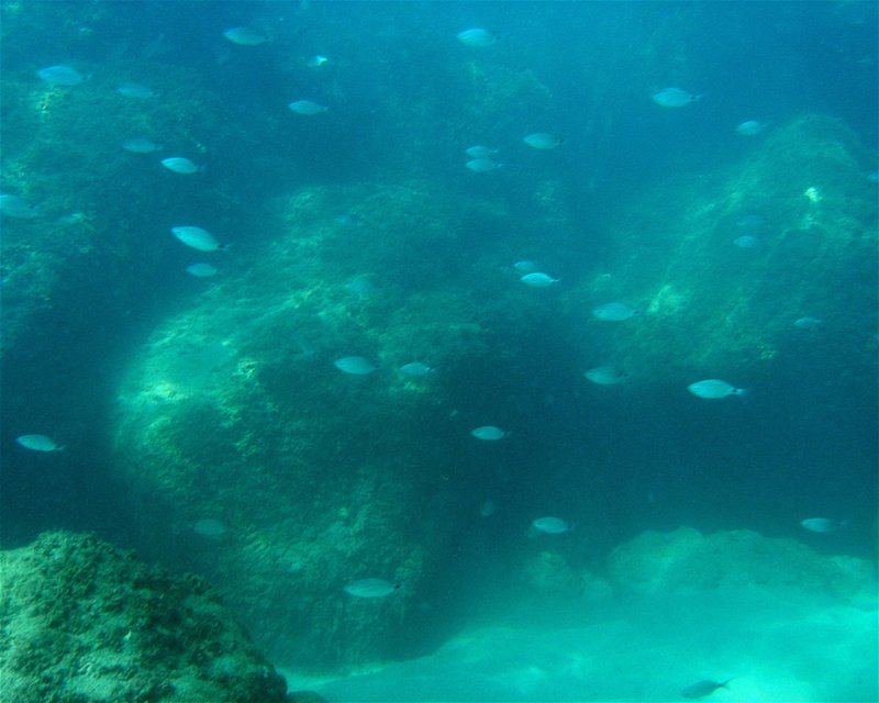 Divesite Image