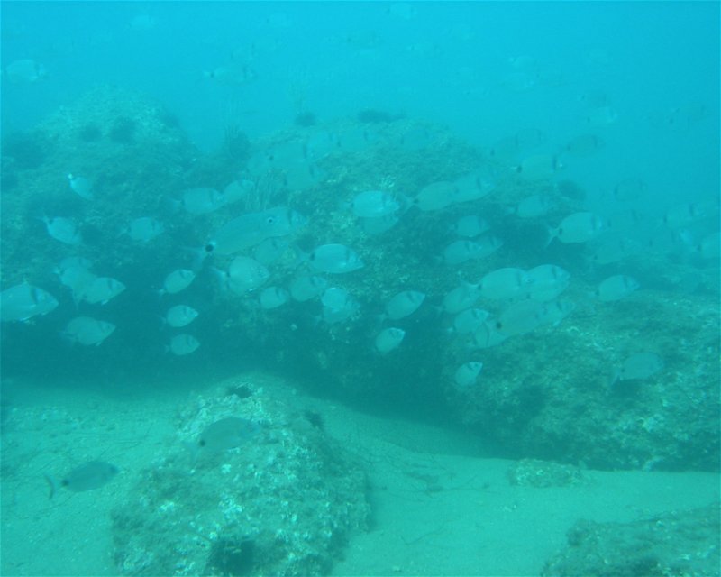 Divesite Image