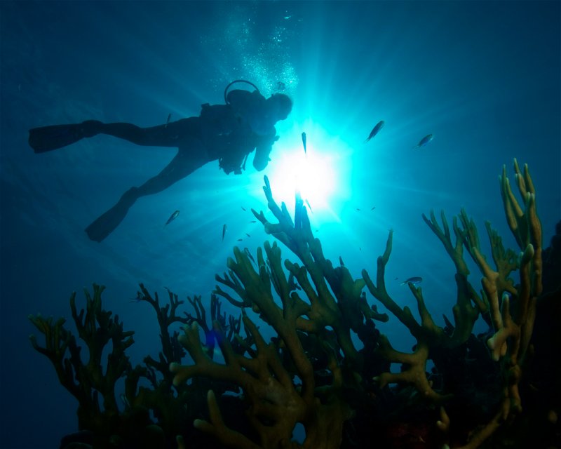 Divesite Image