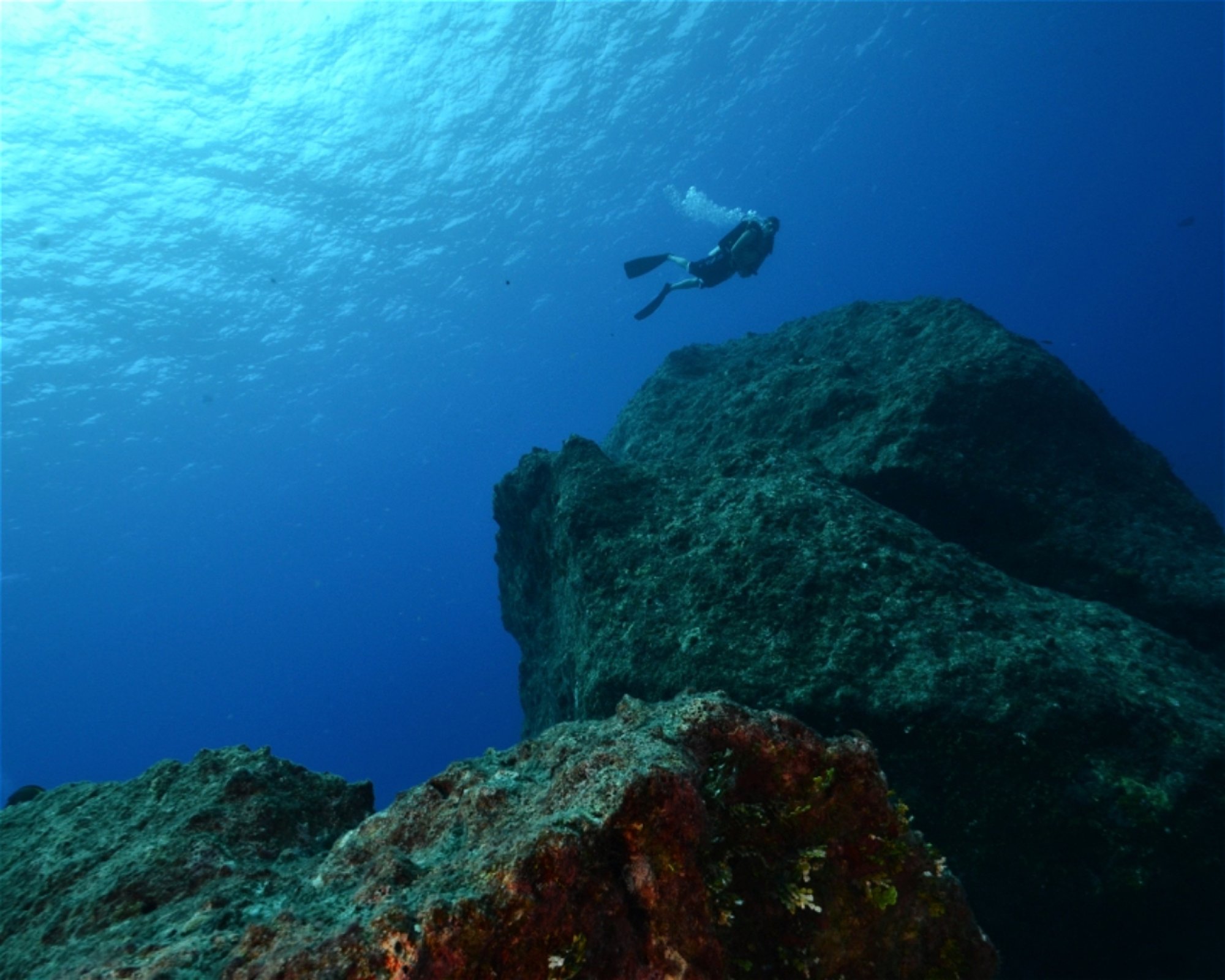 Scuba Guam, 96913 Tamuning
