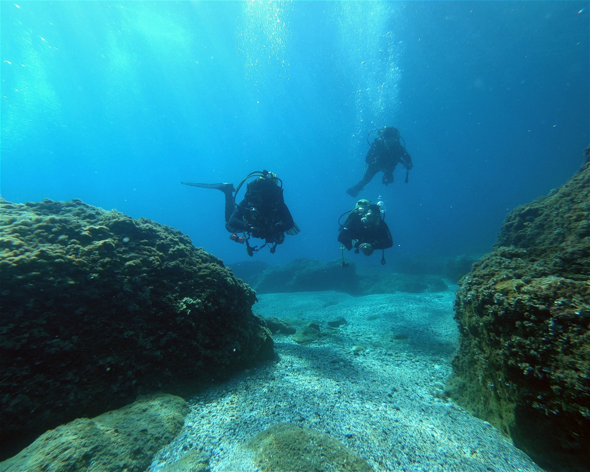 TORTUGA DIVING VERA PLAYA, 04621 Vera Playa