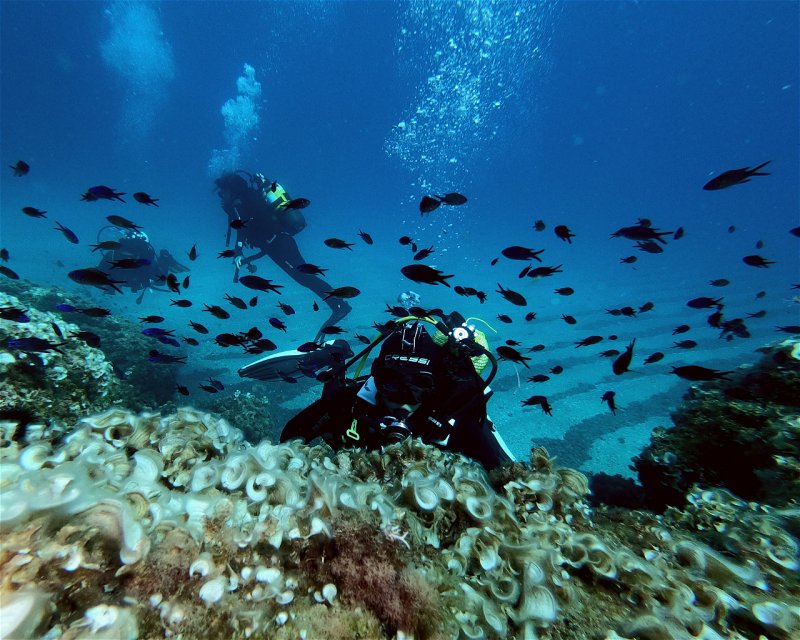 Divesite Image