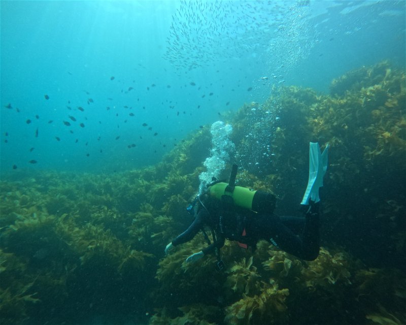 Divesite Image