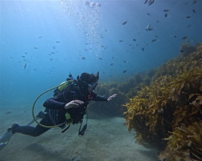 BLACK JACK REEF  (★3.4)