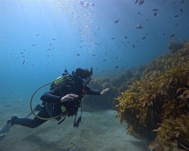 Divesite Image