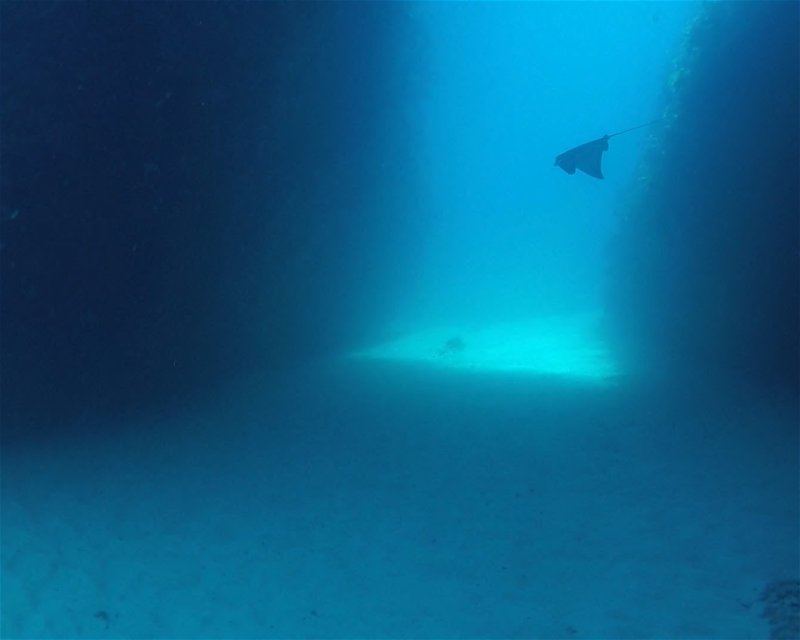 Divesite Image
