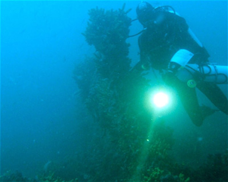 Divesite Image