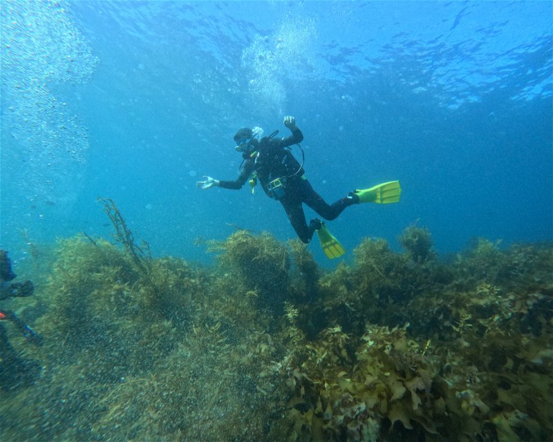 Divesite Image