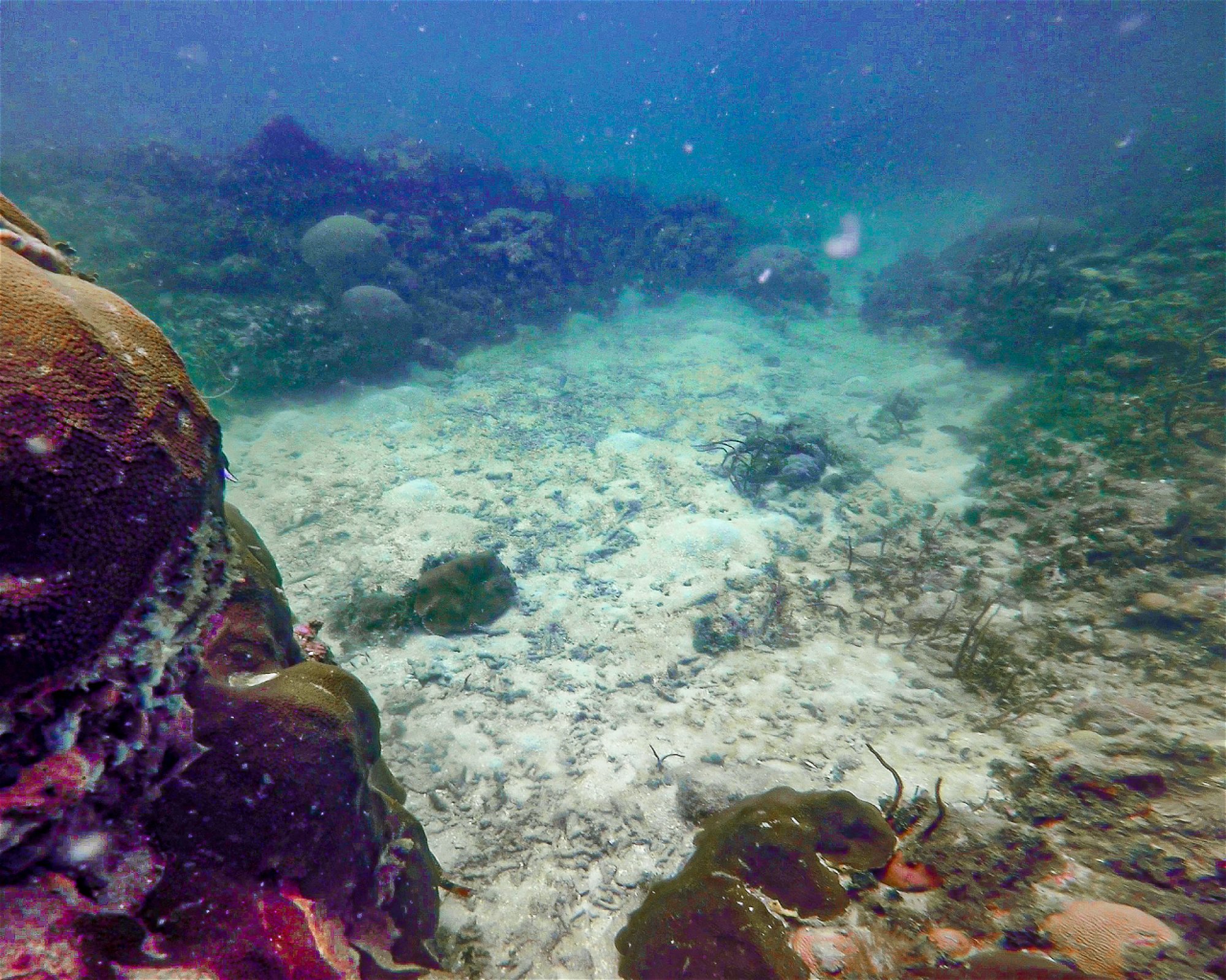 Centro de Buceo Rincon del Mar, 707010 Rincon (San Onofre), Sucre