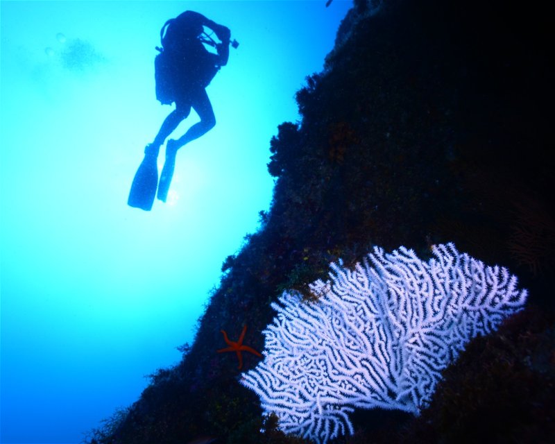 Divesite Image
