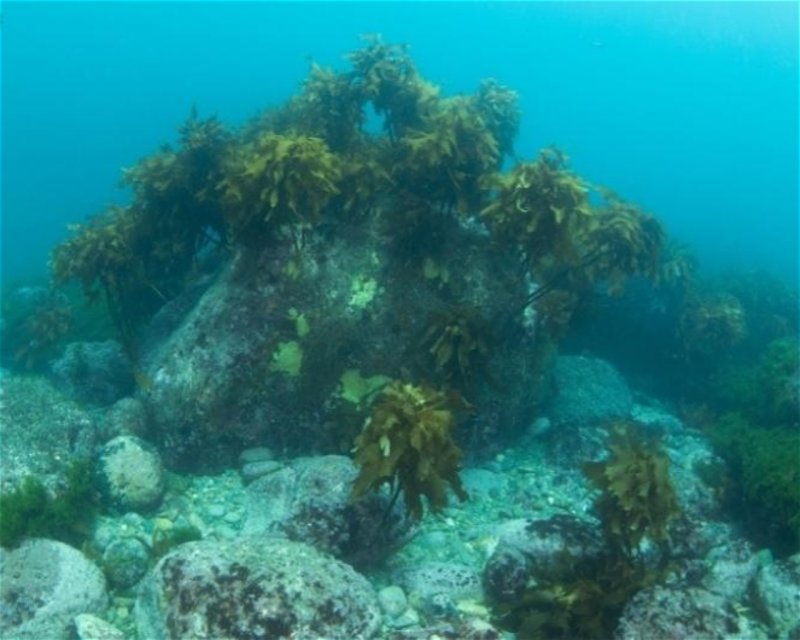Divesite Image
