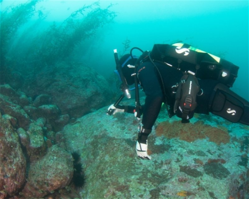 Divesite Image