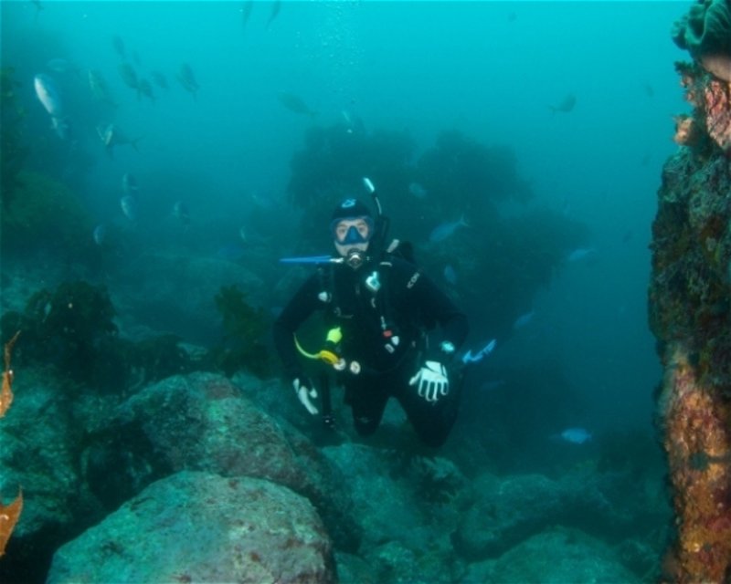 Divesite Image