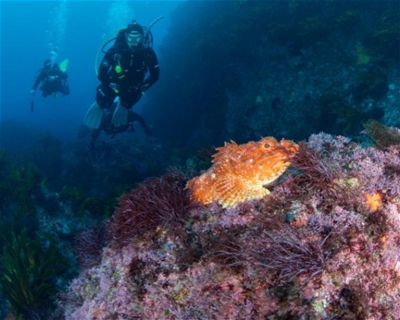 Divesite Image