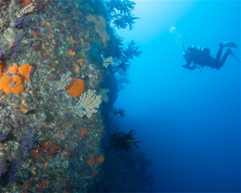 Divesite Image