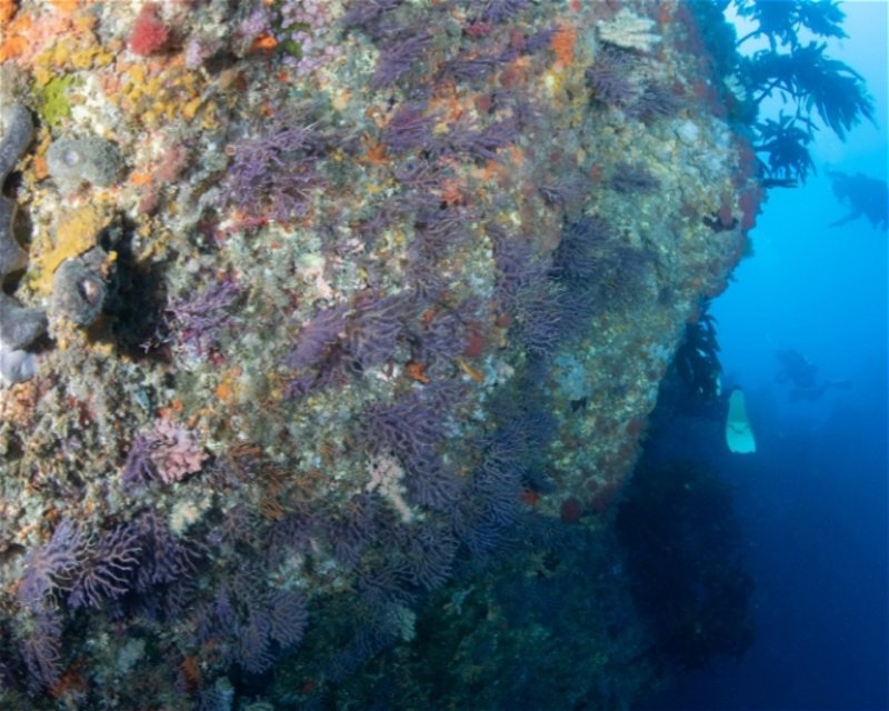 Divesite Image
