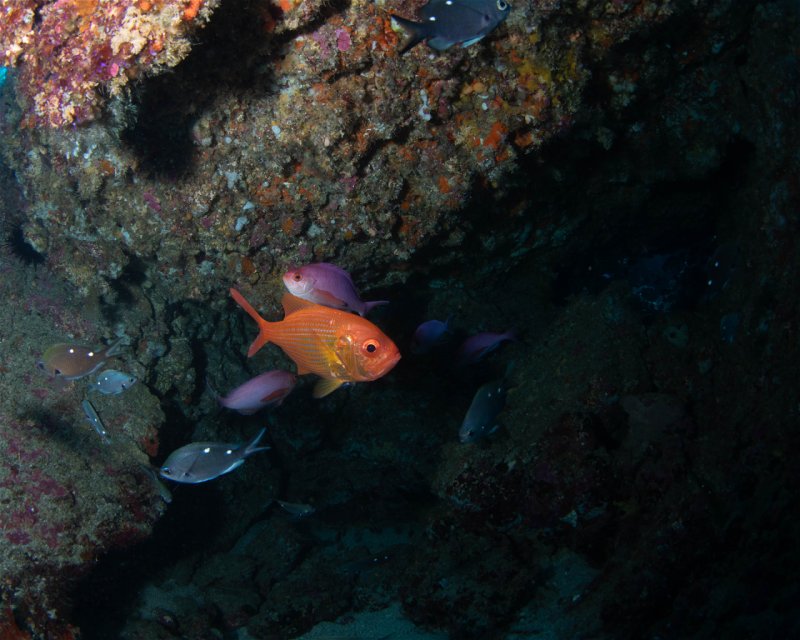Divesite Image