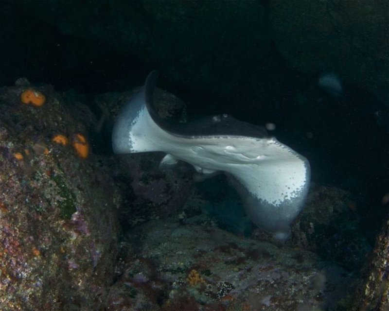 Divesite Image