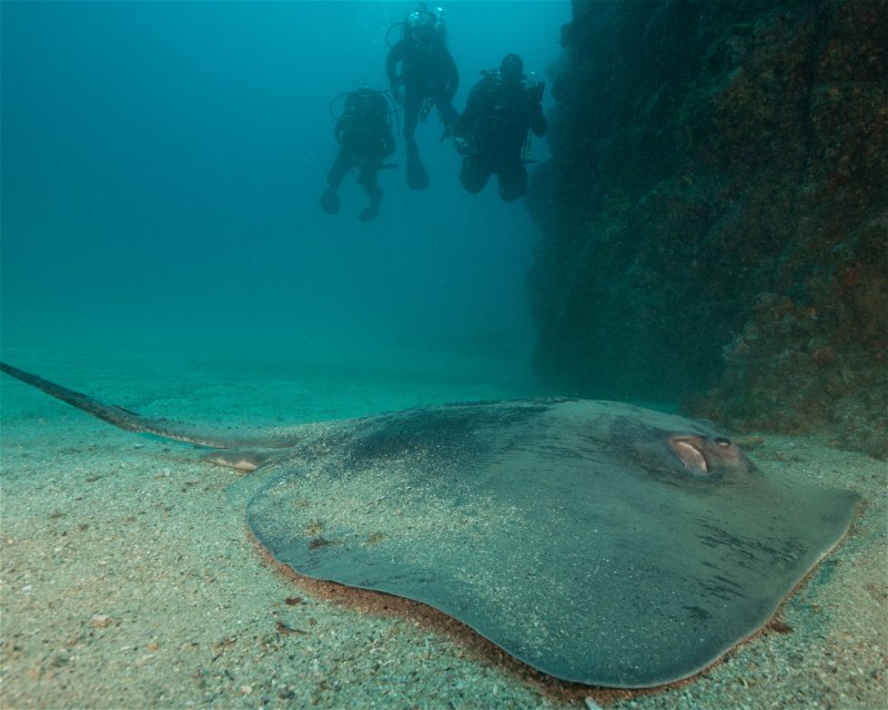 Divesite Image