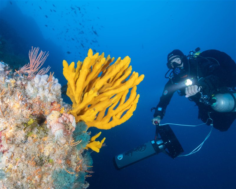 Divesite Image