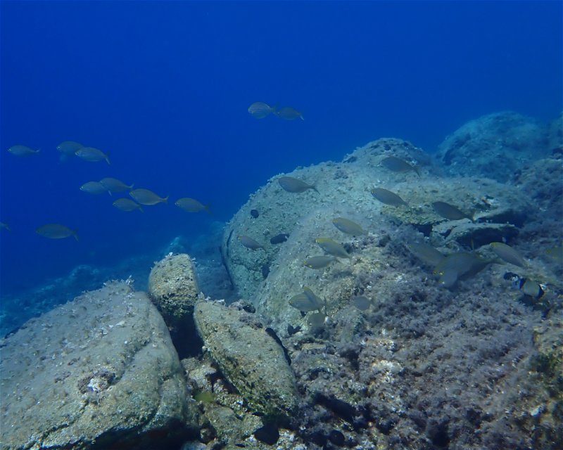 Divesite Image
