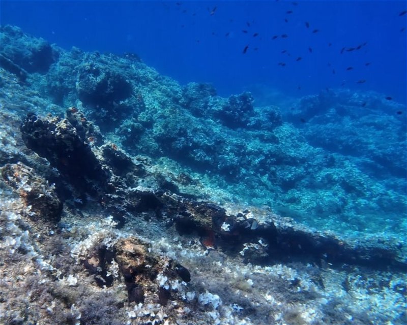 Divesite Image